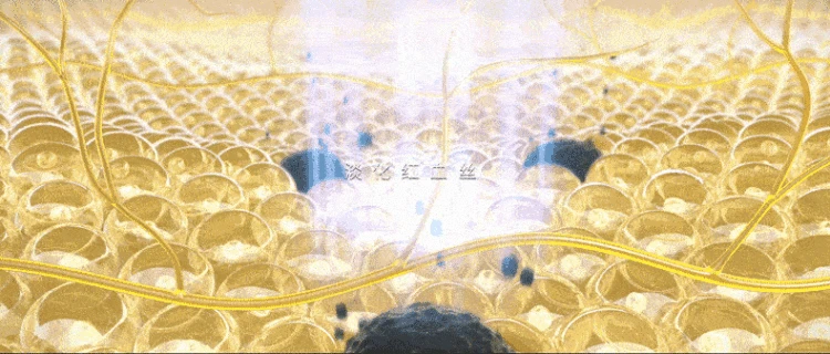 1.gif