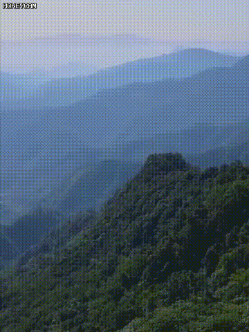 1720336093845290.gif